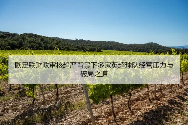 欧足联财政审核趋严背景下多家英超球队经营压力与破局之道